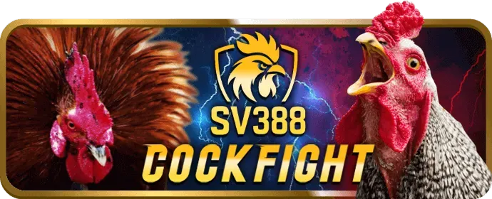 Các tính năng nổi bật của ứng dụng 55win55 khuyến mãi